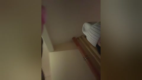 Media: A blurry, dimly-lit video of a person wearing a white sweater, partially visible from the waist up, standing in a small, narrow space with beige walls and a wooden railing.
