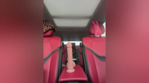 Media: Video of a car interior with two bright pink seats, leopard-print headrests, and a large pink dildo attached to the center console. The background features a neutral-colored ceiling and seat backs.