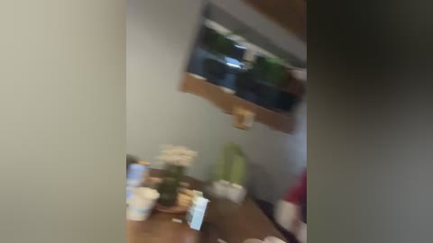 Media: Blurry video of a modern living room with a flat-screen TV mounted on the wall, displaying a green plant. A wooden shelf above the TV holds more plants. The room has neutral-toned walls and a wooden floor.