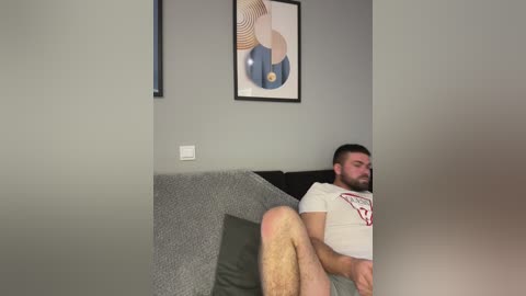 Media: Video of a bearded man with short dark hair, wearing a white t-shirt and no pants, reclining on a gray couch in a dimly lit room with a framed abstract painting on a gray wall.