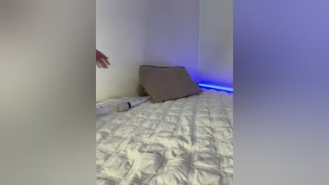 Media: A video shows a small, dimly lit room with a beige cushion on a white quilted bed. A faint blue glow illuminates the corner. A white and red toy lies on the floor. The walls are plain and white.