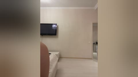 Media: A dimly lit video of a minimalist, modern bedroom with beige walls and light wooden floors. The room features a flat-screen TV mounted on the wall and a bed with white bedding. The space is clean and simple.