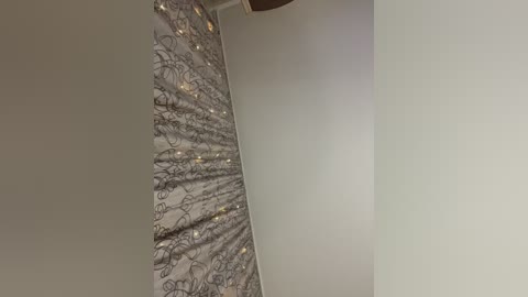 Media: Video of a minimalist, modern interior ceiling with a textured, metallic silver-gray pattern resembling an abstract, radiant sunburst. The background is a smooth, off-white wall, creating a stark contrast. The image is well-lit, emphasizing the sleek and elegant design.