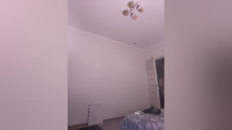 Video of a sparsely furnished, white-walled bedroom with a ceiling light fixture, a blue-patterned bedspread, a white door, and a small heater against the wall.