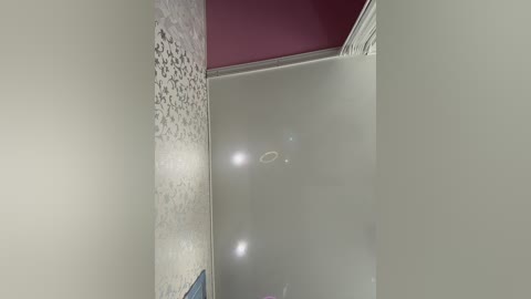 Media: Video of a narrow, dimly lit hallway with beige walls, a textured stone wall on the left, and a partially visible circular light fixture emitting soft light.