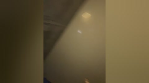 Media: A video capturing a dimly lit, narrow hallway with beige walls. The image is slightly out of focus, showcasing soft, ambient light and indistinct shadows.
