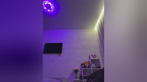 Media: Video of a modern, dimly lit room with a textured white brick wall, a black flat-screen TV mounted on the left, a white bookshelf with a vase of flowers, and a purple LED light strip on the ceiling.