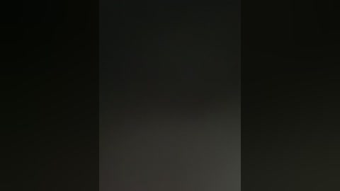 A video of a tall, narrow vertical object, possibly a pole or column, standing in a dark, shadowy environment. The object is uniformly dark, blending into the background, making it difficult to discern its precise nature or details.