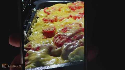 A video of a slice of pizza with a golden-brown crust, topped with melted mozzarella cheese, red tomatoes, and green basil leaves, taken with a smartphone.