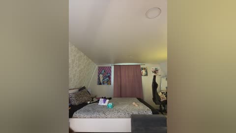 Video of a small, cluttered bedroom with a bed covered in leopard print sheets, a desk with a chair, and a wall decorated with posters.