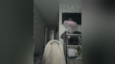 A video of a salon chair draped with a white cape bearing the name \"Barber.\" The background features a green wall, a mirror, and a plant on a shelf.