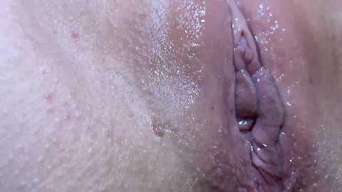Close-up video of a woman's vulva, showing the labia minora, labia majora, and clitoral hood, with visible pores and natural skin texture. The background is blurred, focusing on the intimate details of the genitalia.