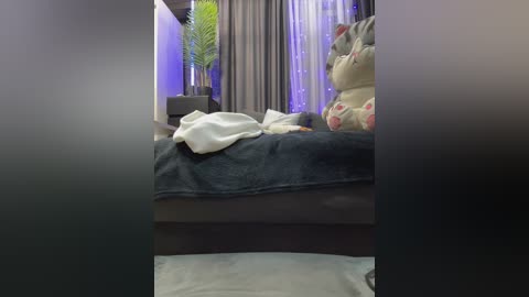A blurry video of a dimly lit bedroom with a bed covered in a dark blanket, a plush teddy bear, and a potted plant. The background features sheer curtains and a faint neon glow.