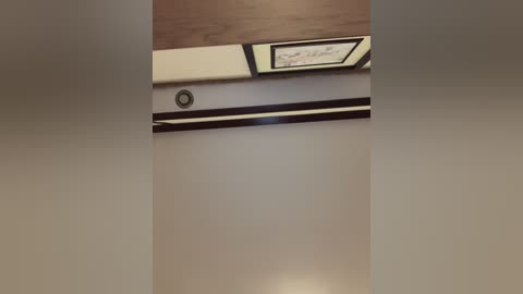 Video of a ceiling with a framed certificate mounted, featuring a black and white image of a vintage typewriter. The ceiling has a beige and brown color scheme, with a rectangular light fixture in the center.