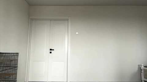 Video of a minimalist, empty bedroom corner with off-white walls, a white door, a metal clothes hanger, and a white radiator, emphasizing clean lines and simplicity.