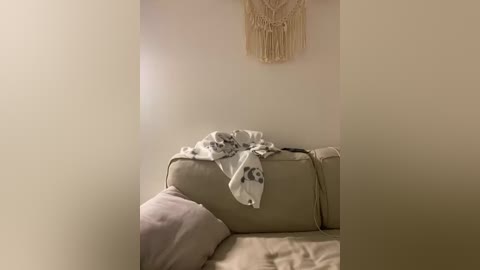 A video of a beige sofa with a white blanket and a macram\u00e9 wall hanging in a softly lit room.