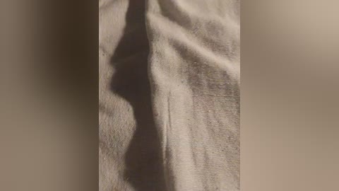 Video of a light beige curtain with subtle folds and creases, casting soft shadows against a neutral background, creating a sense of texture and depth.