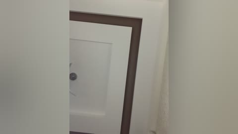 A video showing a modern, white-framed bathroom door with a rectangular glass panel, featuring a circular, metallic, and geometric design, mounted on a white wall. The door's hinges are visible on the right side.