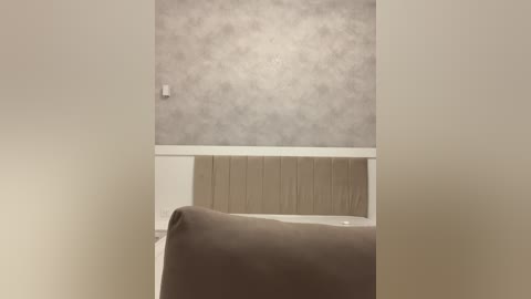 Video of a minimalist bathroom with a beige towel draped over a bathtub. The wall above the tub is adorned with textured, light gray wallpaper, and the bottom half of the wall is a wooden panel. A white light switch is mounted on the wall.