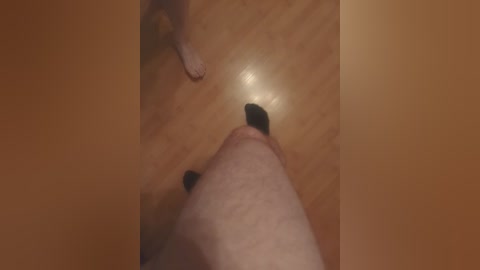 Video of a close-up, blurry scene featuring a human penis and a black-painted nail, positioned on a wooden floor with a dim, ambient light source.