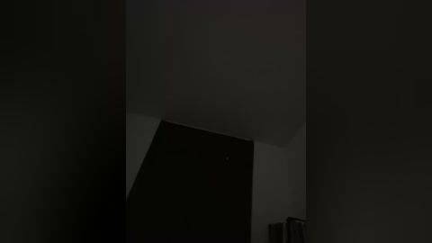 A dimly lit video shows an angular, dark room with a shadowy corner and a faint, indistinct object in the background, suggesting a minimalist, modern interior design.