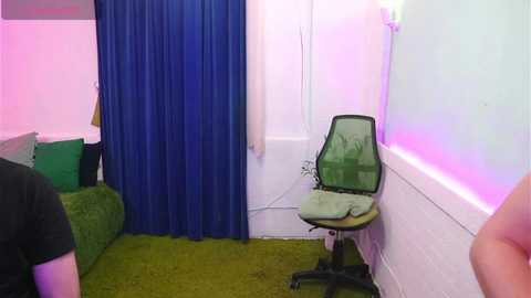 Video of a small, dimly lit room with green carpet, blue curtains, white walls, a green sofa, and a black chair with a cushion. A person in a black shirt is visible in the foreground.