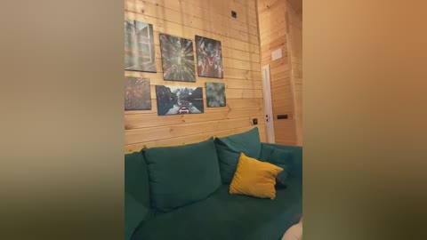 Video of a cozy, rustic living room with a teal couch, wooden-paneled walls adorned with framed abstract art, a mustard-yellow throw pillow, and a wooden door in the background.