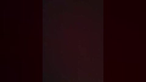 A dimly lit video features a vertical, dark, shadowy figure with indistinct features, set against a deep maroon background, creating an eerie, mysterious atmosphere. The image is grainy and lacks detail, enhancing the sense of mystery and uncertainty.