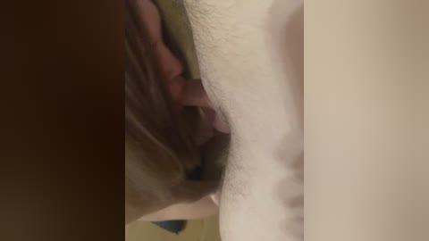 A close-up video shows a penis being sucked by a man's mouth, with the man's face and hairy chest visible. The background is blurry, featuring a beige and green patterned surface.