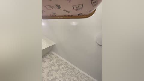 Video of a narrow, white-walled hallway with a beige carpet featuring a floral pattern. A white, rectangular wall-mounted light fixture is visible. The ceiling has a light pink fabric with various logos and text.