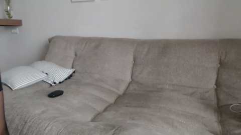 A video of a beige, tufted sectional sofa with two black-and-white striped pillows. A remote control sits on the cushion. The background features a simple, white wall and a wooden shelf holding a vase.