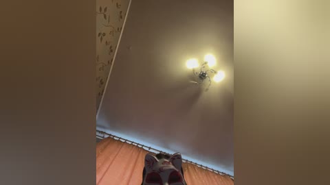 Video of a ceiling with a central light fixture, beige walls with floral wallpaper, and orange curtains partially covering a window in the background.