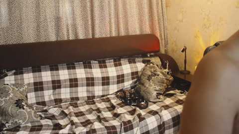 Video of a cluttered, single bed with a plaid blanket, a gray cat, and a black cat, against a beige wall with a patterned curtain.