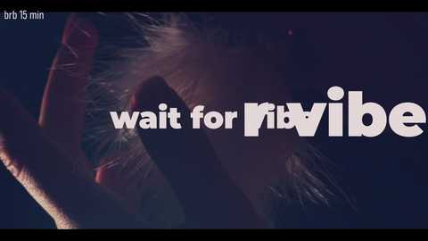 Video of a close-up of a person's hand holding a penis, with the text \"wait for vibe\" overlaid in white.