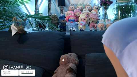 Video of a plush toy collection featuring various characters in a cozy, dimly-lit living room with a dark sofa, a plush teddy bear, and a person's arm visible.