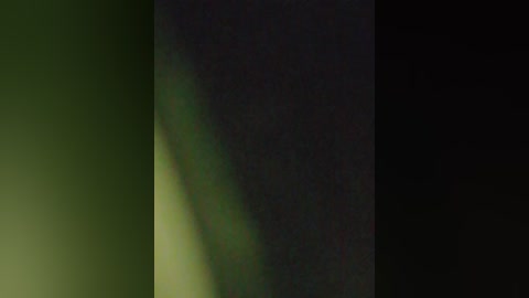 A digital video features a dark, vertical panel with a green, horizontal gradient on the left side, creating a contrasting effect. The image lacks distinct objects or people, focusing solely on the gradient and its visual impact.