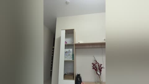 A minimalist, modern bedroom with beige walls, a white built-in closet, and a small wooden shelf displaying decorative items.