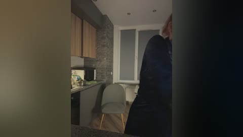 Video of a modern, dimly lit kitchen with wooden cabinets, gray chairs, and a stone backsplash. A person in a dark coat stands at the entrance, partially obscured.