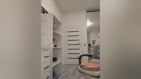 Video of a minimalist, modern bathroom with white walls and a sliding door, showcasing a beige chair with a pink cushion, a wooden cabinet, and a mirror.