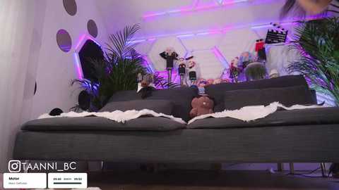 Video of a modern living room with a gray sofa, white fur blanket, and plush bear, surrounded by green plants and purple LED lights on white walls.