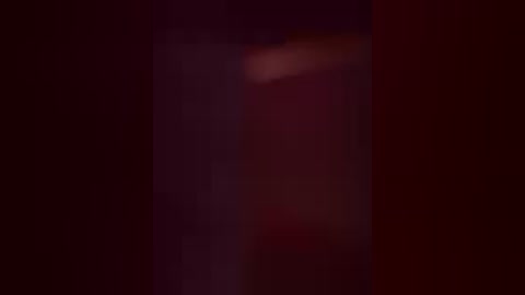 This is a blurry video of a person standing in a dark, dimly lit room. The subject's face and body are indistinguishable due to the lack of clarity, and the background is predominantly deep red.