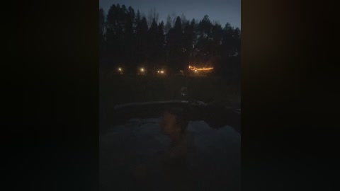 Video of a dark, foggy night scene with a lit bridge in the background, surrounded by dense, shadowy trees. The sky is overcast, and the water in the foreground is partially visible. The mood is eerie and atmospheric.