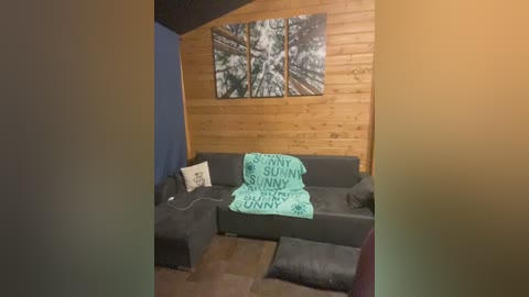 A video of a cozy living room with a dark gray sectional sofa, a turquoise blanket reading \"Sunny Sunny,\" wooden paneling, and a framed forest landscape painting on the wall.