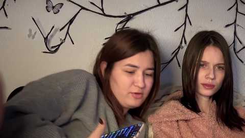 Video of two women with long brown hair, one in a gray sweater, the other in a pink sweater, sitting side by side on a couch with a textured white wall featuring butterfly art in the background.