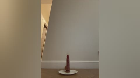Video of a realistic, large, brown dildo resting on a white plate in a corner of a minimalist, white-walled room with a wooden floor.