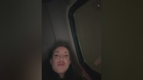 Video of a young woman with pale skin and dark hair, partially visible through a car window, wearing a black coat, taken from an overhead angle.