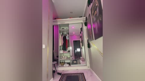 Video of a narrow hallway with a mirrored closet door, revealing a neatly organized wardrobe. Clothes hang on hangers, and shoes are arranged on shelves. A framed picture and a black chair are visible on the right.