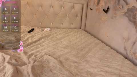 Video of a beige, tufted headboard bed with a rumpled, beige bedspread. Wall to the right shows peeling wallpaper with exposed plaster. A black remote control lies on the bed.