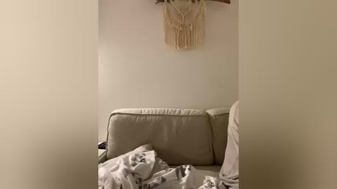 Video of a beige sofa with a white, patterned blanket, a beige wall, and a macram\u00e9 wall hanging.