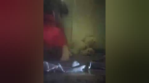 A dimly lit, blurry video shows a person with dark hair in a red shirt, sitting in a dark, cluttered room with green walls and a pile of blankets on the floor.